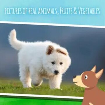 ũ��������Farm animals
