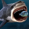 ����֮��(King of the Fish Tank)v2.0.0 ��׿��