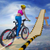 ������г��ؼ���3D(Reckless Bike Rider Stunt)v1.3 ��׿��