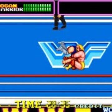 WWF��������