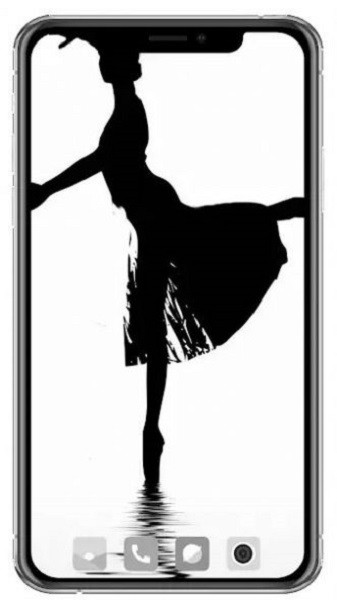 �������ֽ�ֻ���ֽ(balletwallpaper)v1.06 ��׿��