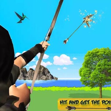 ��������ģ����Bird Hunting Mania
