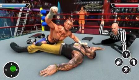 ˤ����Ϸȭ��(Wrestling Games Ring Fighting)v1.5 ��׿��