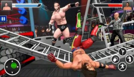 ˤ����Ϸȭ��(Wrestling Games Ring Fighting)v1.5 ��׿��