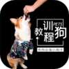 ѵ������appv1.0.1 ���°�