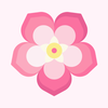 ����ʶ��appv2.0.0 ���°�