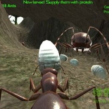 蚂蚁模拟器3DAnt Simulation 3D 蚂蚁模拟器3DAnt Simulation 3D
