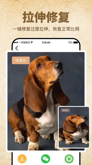 ��Ƭ�޸���ȫappv1.0 ��׿��