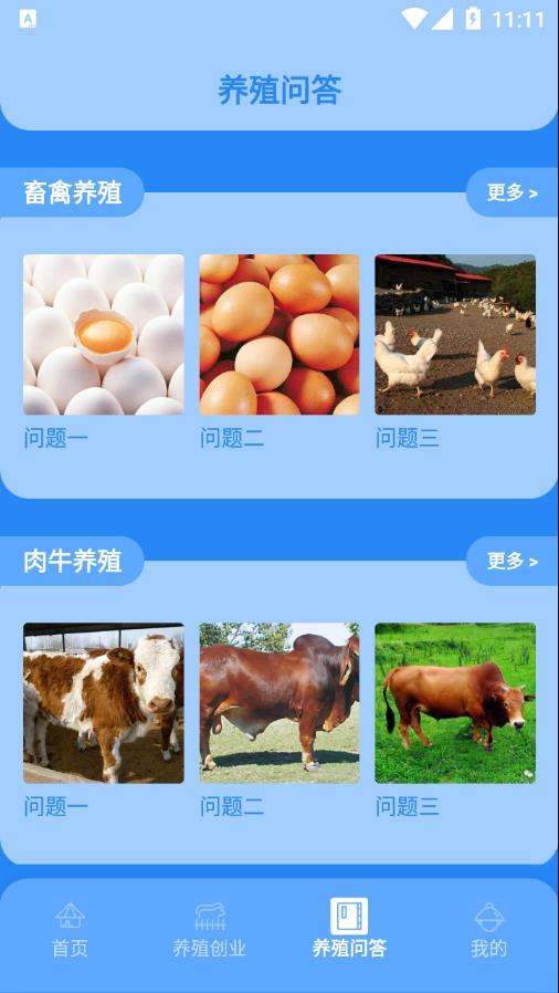 ��ֳ��С����appv1.1 �ֻ���