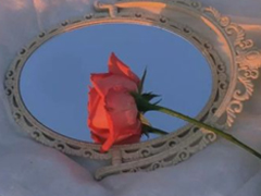 ��̬�ø�ִ��΢���������� �����ֵ͵�΢���ǳ�
