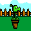 PVZ�����㶹3v0.0.1 ���°�