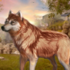 ҰǶģ(The Wild Wolf Animal Simulator)v1.0.3 ׿