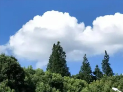 �����������õ��������õľ��� �����õ������İ��ϼ�
