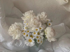 ѧ�������Լ��ľ��� �Լ�Ҫѧ�������Լ����İ�