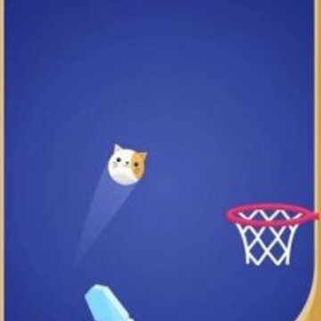 ��������Flipper Dunk