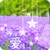 薰衣草等爱情锁屏动态壁纸下载v9.0 安卓版