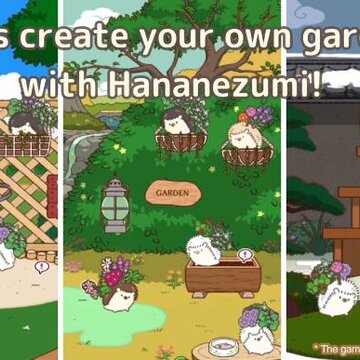 小花盆刺猬(Hananezumi) 小花盆刺猬(Hananezumi)