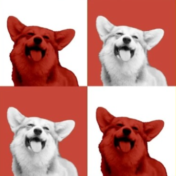image.png image.png