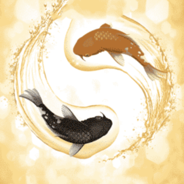 生肖宝典下载 生肖宝典下载
