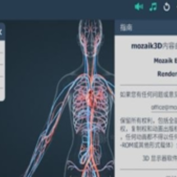 人体系统女性3d 人体系统女性3d