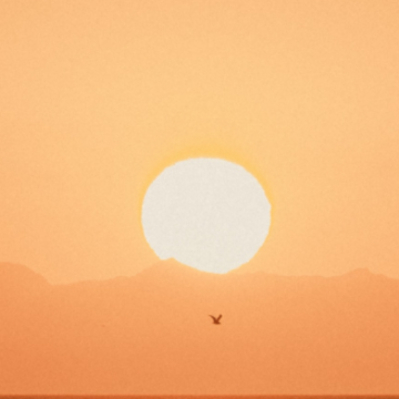 image.png image.png