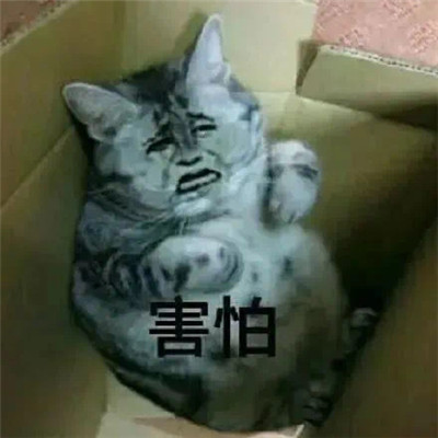 最新热门很火的微信表情最新 傻逼网友发的什么玩意