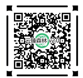 云臻森林V2.0 云臻森林V2.0