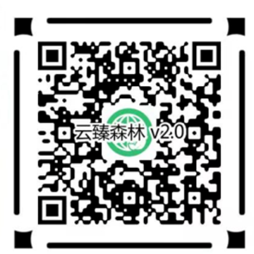 云臻森林V2.0 云臻森林V2.0