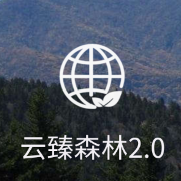 云臻森林V2.0 云臻森林V2.0
