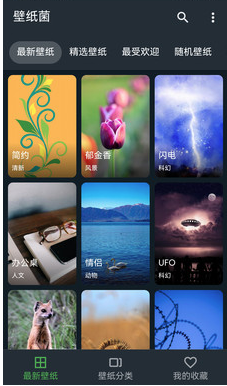 ƽ������-��ֽ��app