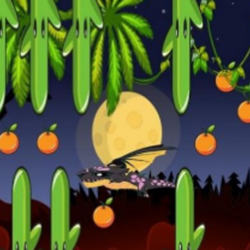 ��֮��(Bird Land)