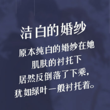 月夜之绯 月夜之绯