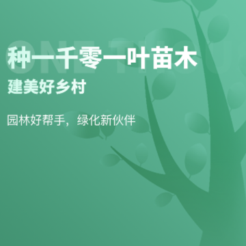 一千零一叶app 一千零一叶app