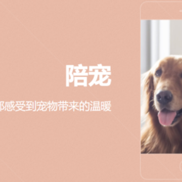 ���app