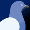 ���ӹ���Pigeon Attackv0.2 ��׿��