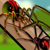 ֩��ս��ģ����Gagamba.Fightv4.0 ��׿��