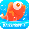 ���˽�����appv1.3.3 ��׿��