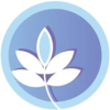 ��������¼appv1.1 ��׿��