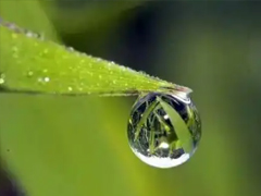 ����ϸ������ܺõ�Ψ������ ��������ϸ��������õľ���