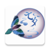 ��Ϧ����app����v1.3 ��׿��
