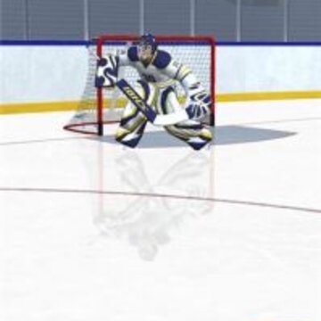 �������������3DHockeyStars3D