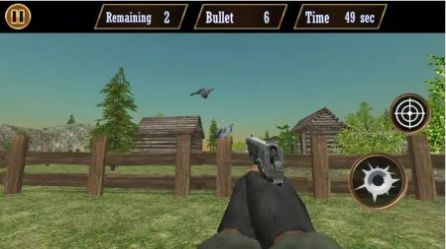 �������(Pigeon Shoot)v1.1.9 ��׿��