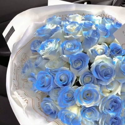 碎冰蓝玫瑰花背景图超级的浪漫 碎冰蓝是假的但爱是真的