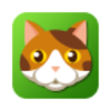 èè�Ҳ�OddCatOutv1.0.4 ��׿��