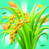 һ�𿴴�����Ϸv1.0.1 ���°�