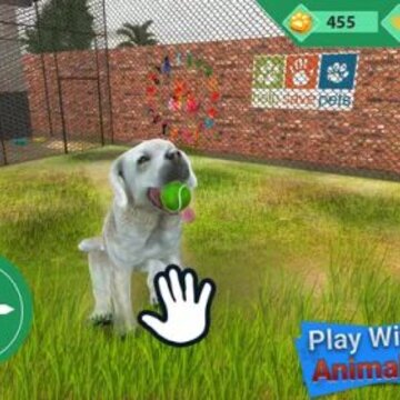 ���������ģ����Pet Shelter Simulator