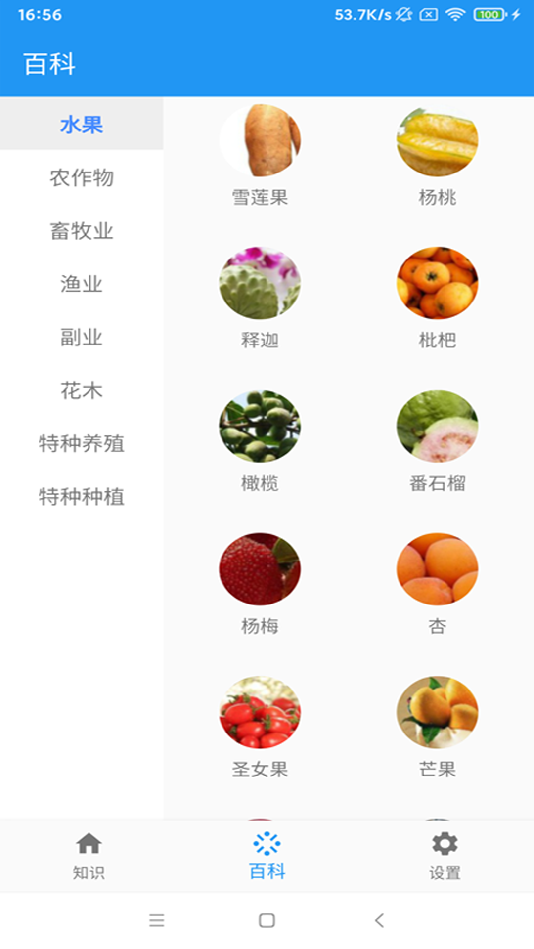ɭ��ũҵapp����v1.0.0 ��׿��