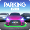 רҵͣ����Parking Prov0.3.3 ��׿��