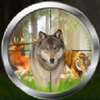 ɭ�����Դ�ʦJungle Animals Hunting Real Shooting Gamev1.2 ���İ�