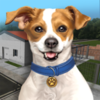 ������������Ϸ(Animal Shelter Simulator)v1.00 ��׿��